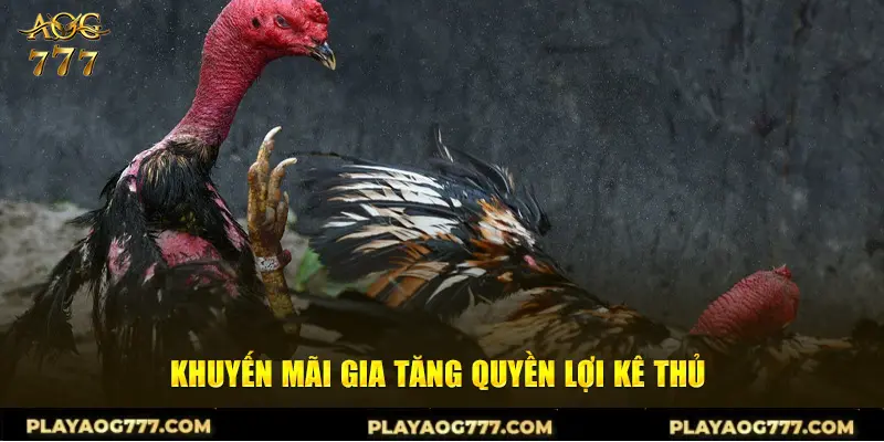 Khuyến mãi gia tăng quyền lợi kê thủ