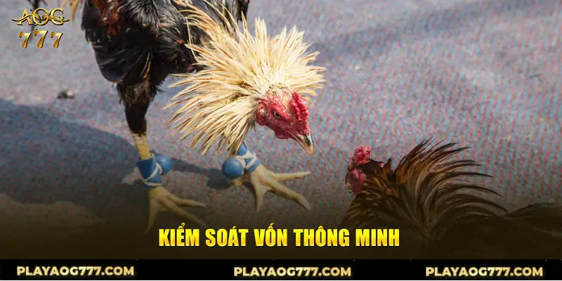 Kiểm soát vốn thông minh