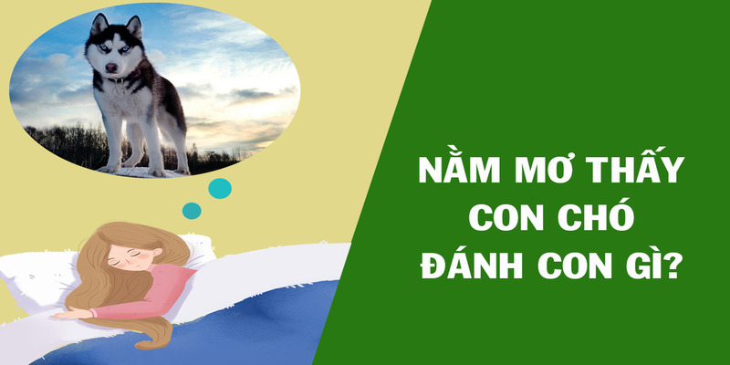 Nằm mơ thấy chó