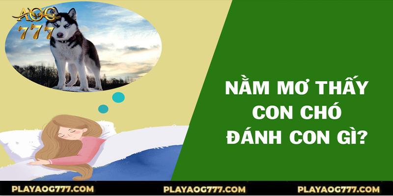 Những con số để thử vận may tùy thuộc vào ngữ cảnh của giấc mơ thấy chó