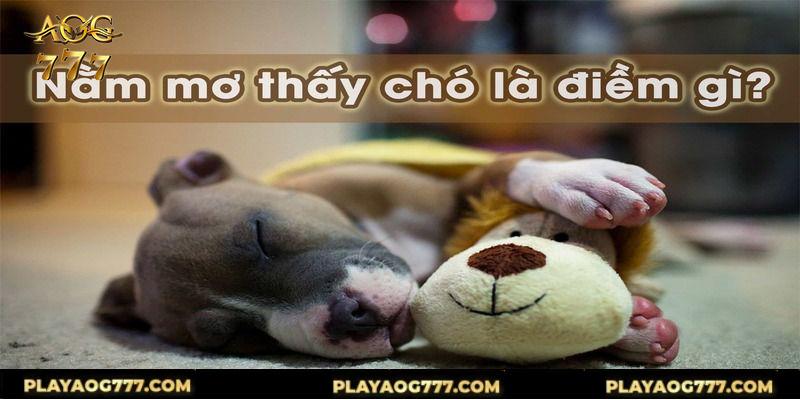 Giải mã tất tần tật về giấc chiêm bao đầy thú vị và quen thuộc này