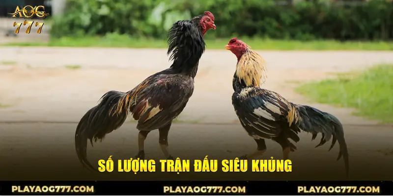 Số lượng trận đấu siêu khủng