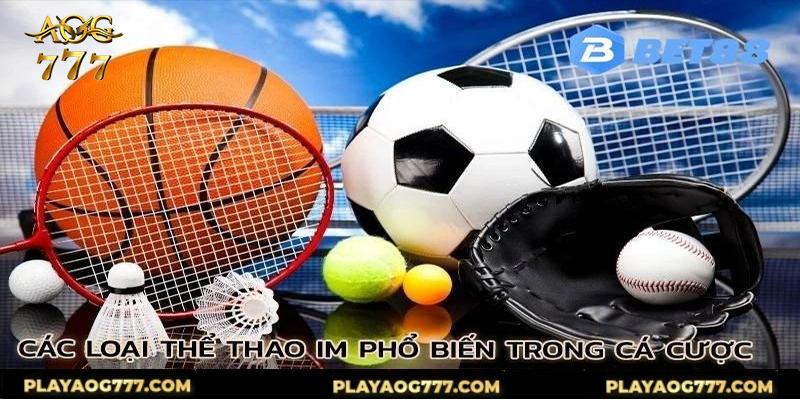 Tổng hợp các loại hình cá cược trực tuyến tại IM thể thao